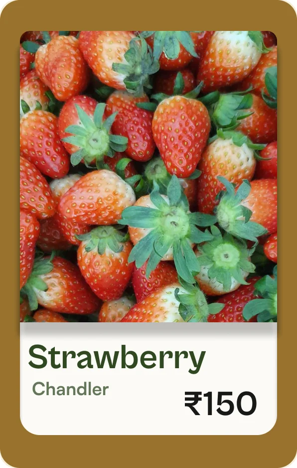 Strawberry, Chandler, ₹150