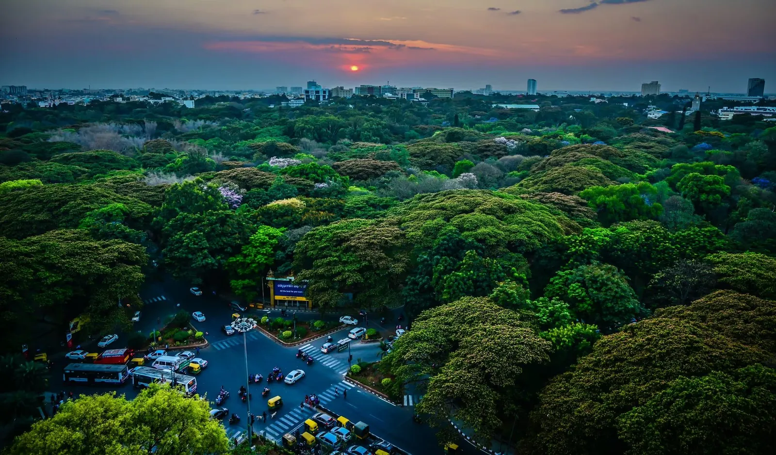 Aerial black and white photo of Bangalore's dense skyline